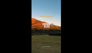 CampaWard: experiencias que dejan huellas